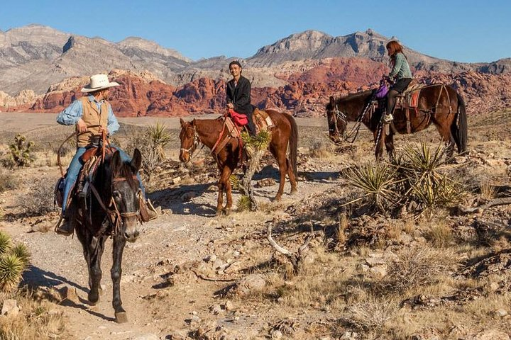 2-Hour Horseback Riding through Red Rock Canyon - Photo 1 of 6